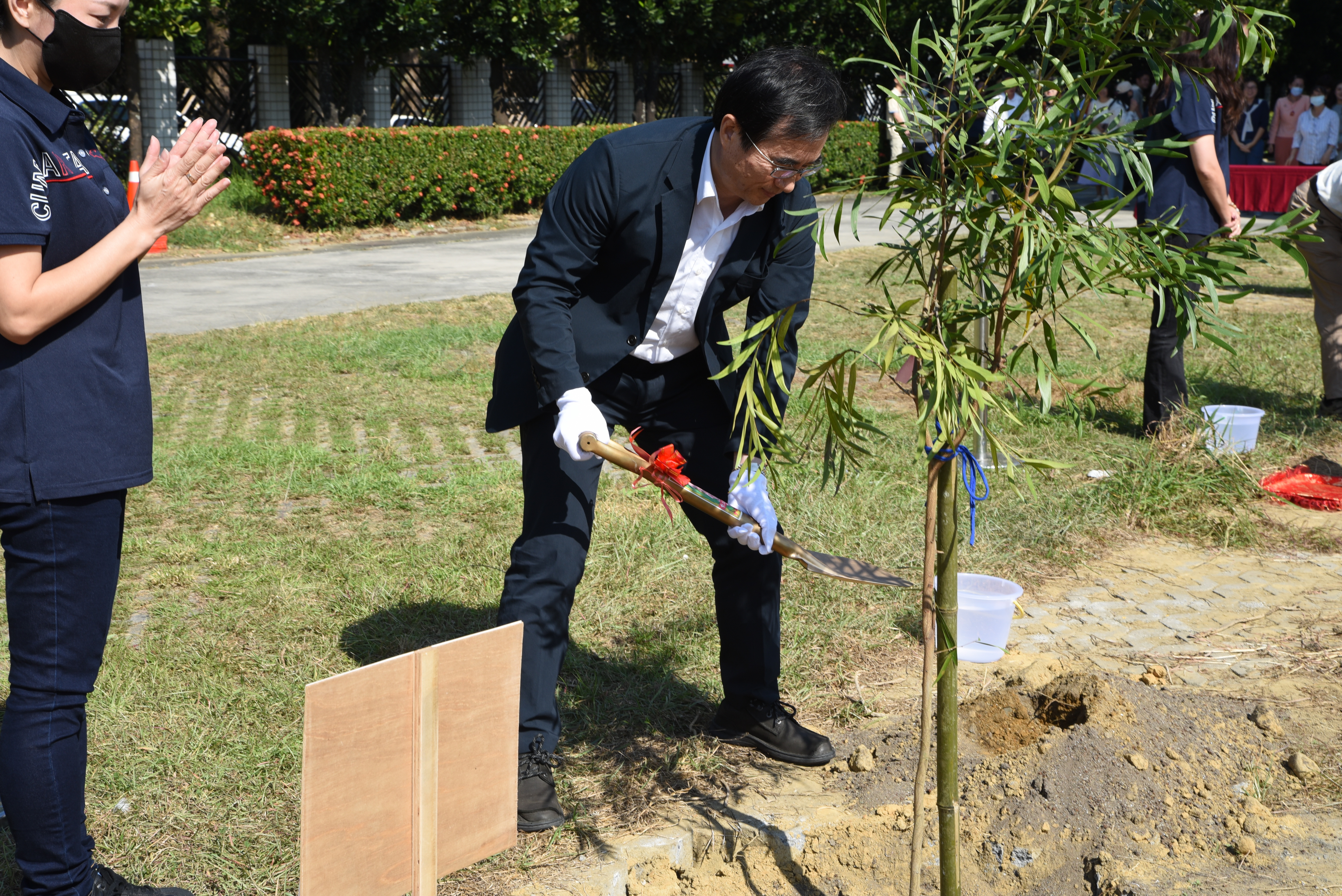 2林副署長栽種固碳能力第1名的相思木.JPG