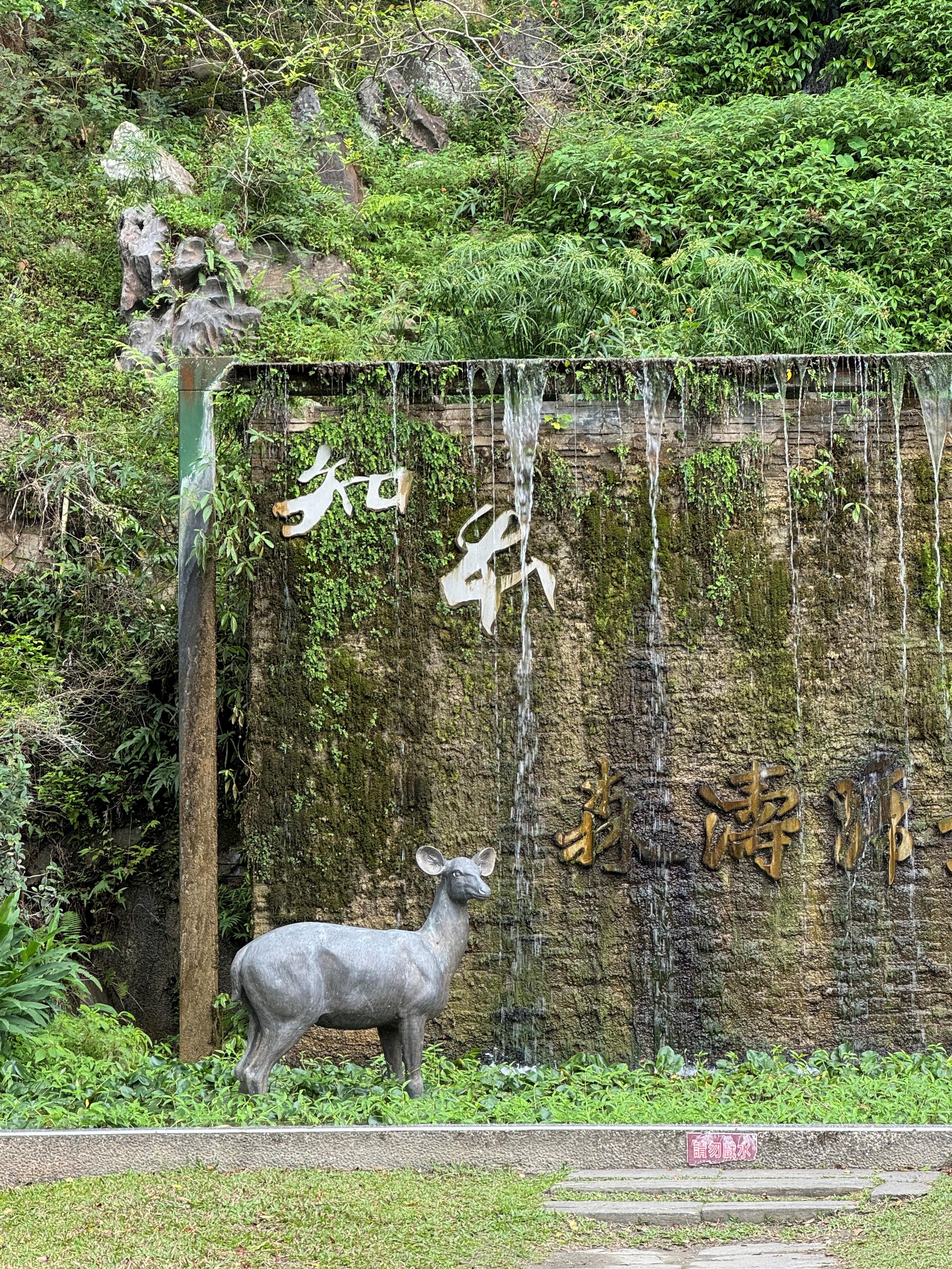走訪記憶中的臺東秘境