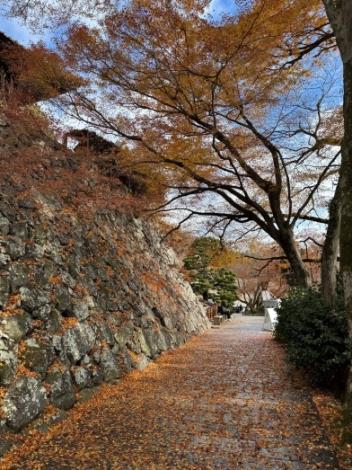 來看可愛的達摩不倒翁囉03_圖示