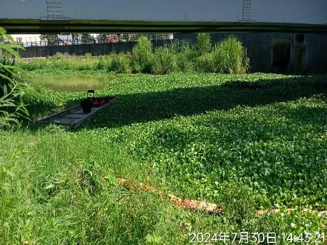 113年客雅溪青草湖國小旁攔除作業成效-1