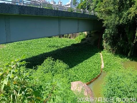 113年客雅溪青草湖國小旁攔除作業成效