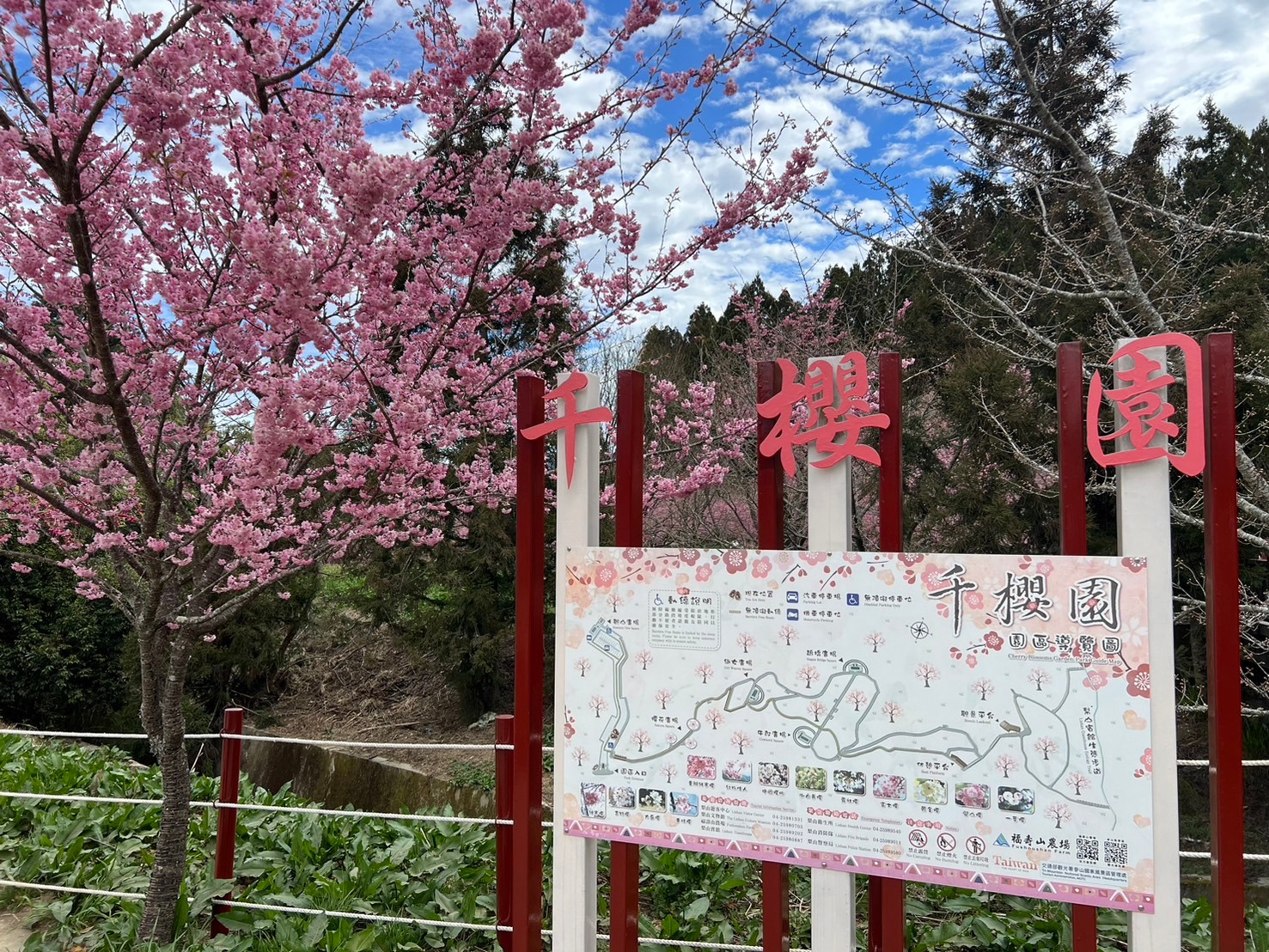 千櫻園