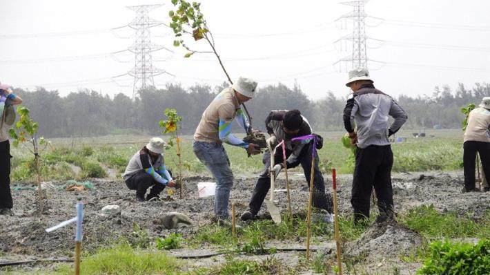 圖5、植樹造林活動1