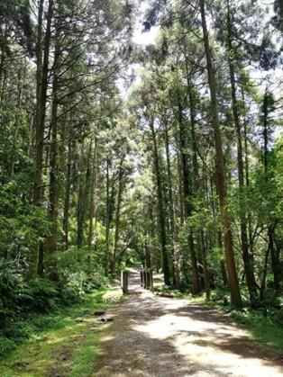 淡蘭古道(坪溪古道)