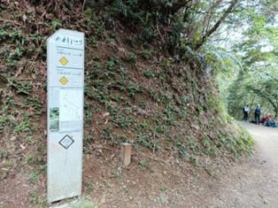 樟之細路(小粗坑古道)