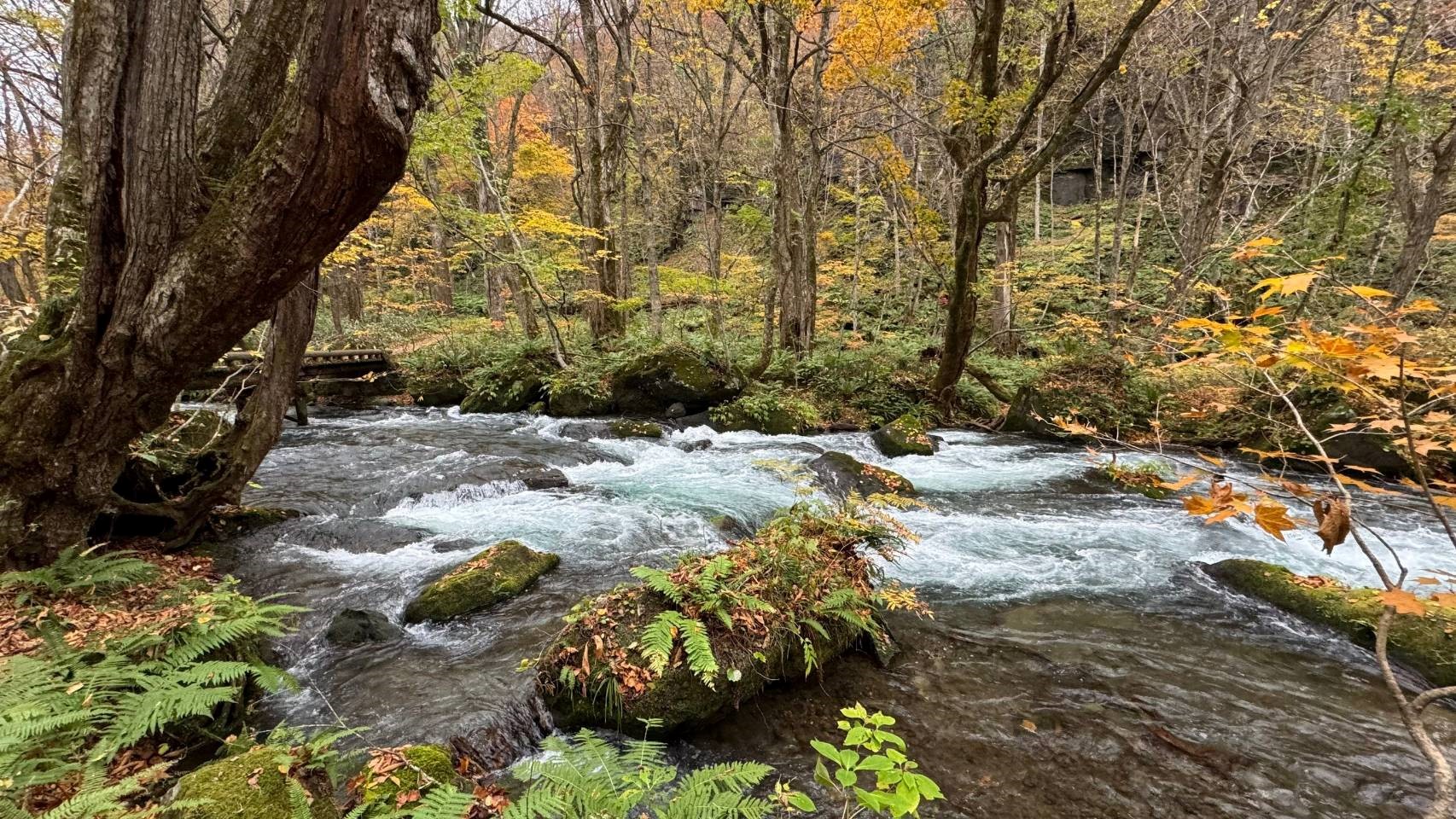 自然景色如風景明信片