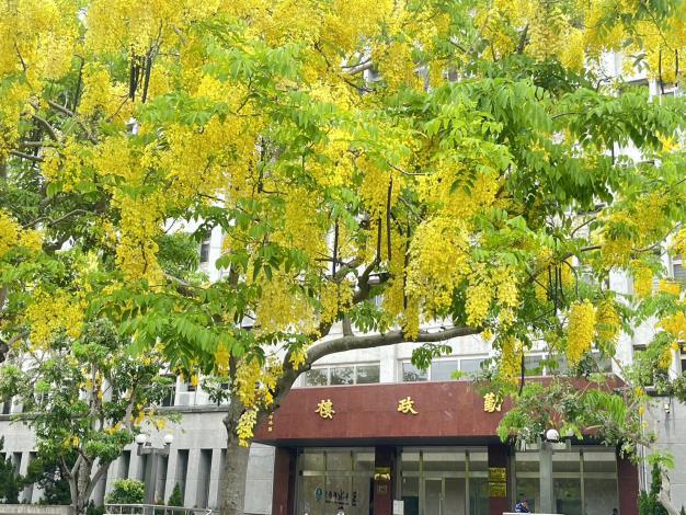 水利署中部辦公室