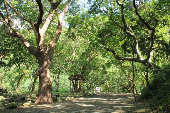 步道