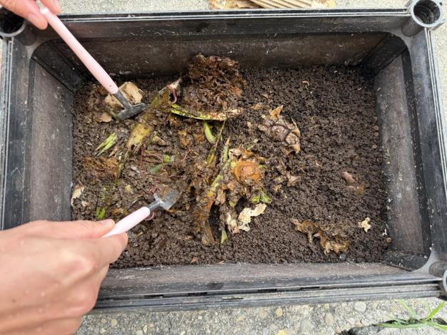 圖一、自家蚯蚓堆肥箱