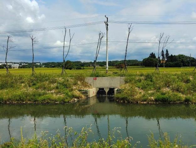 圖11排水工改善後