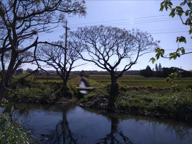 圖10排水工改善前