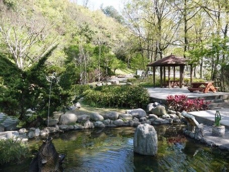 槭林公園 代表圖片