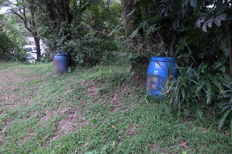 茶園採有機栽種後生態也跟著豐富起來了，藍色塑膠桶內的一窪水提供翡翠樹蛙產卵及生蚪成長的棲地_圖示