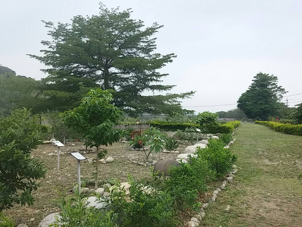 申請河川公地作綠美化使用.jpg_pic