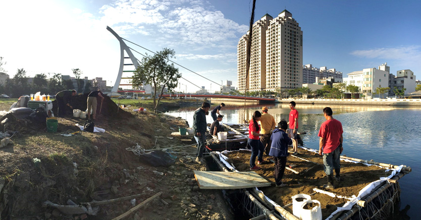 圖 自2015年底起，成功大學水利系王筱雯副教授團隊陸續開始在台南運河中打造人工浮島。
