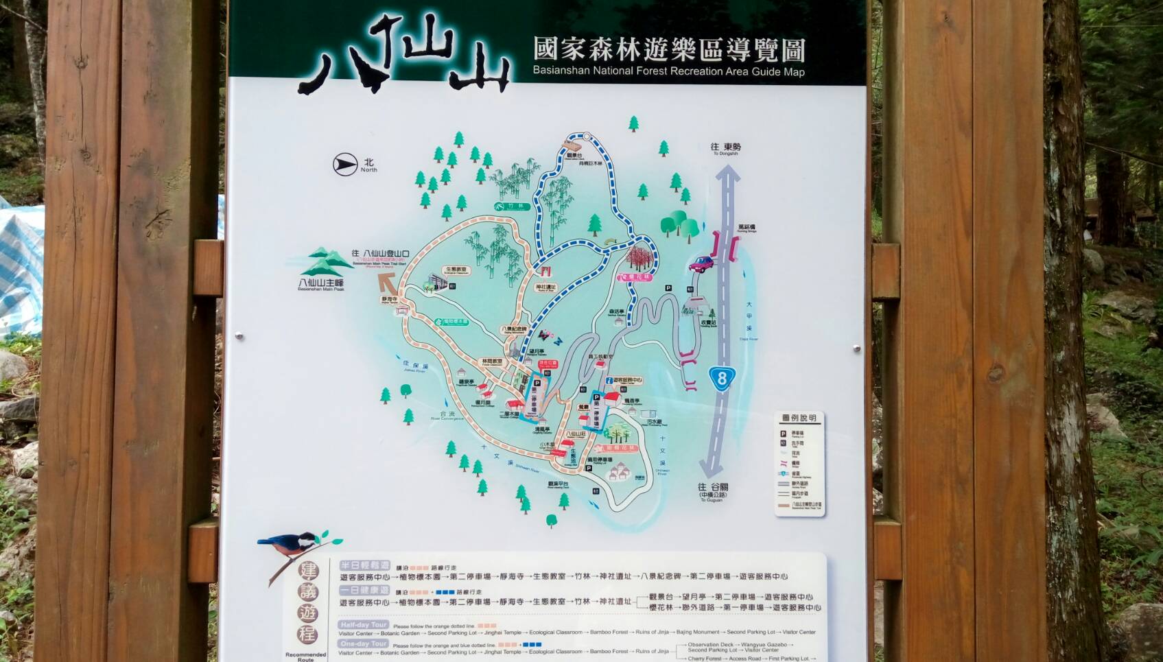 八仙山國家森林導覽圖