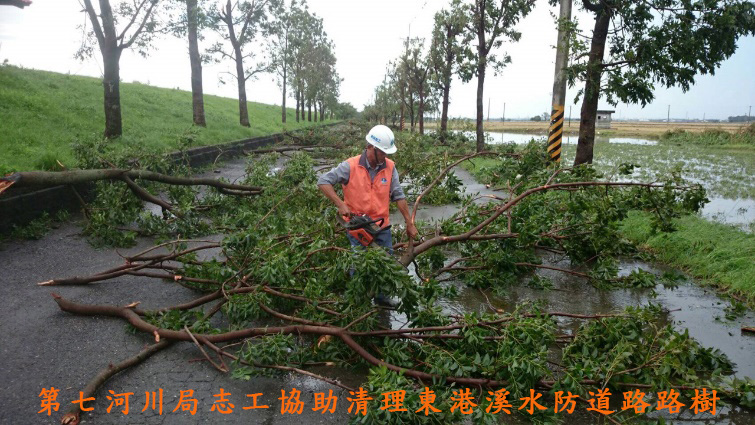 第七河川局志工協助清理東港溪水防道路路樹
