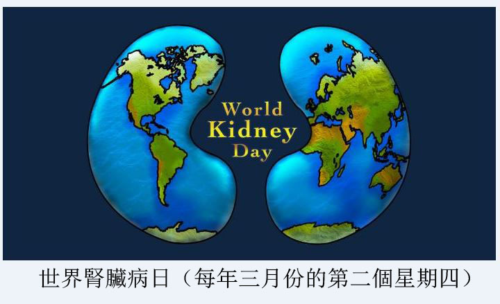 世界腎臟病日(每年三月份的第二個星期四)