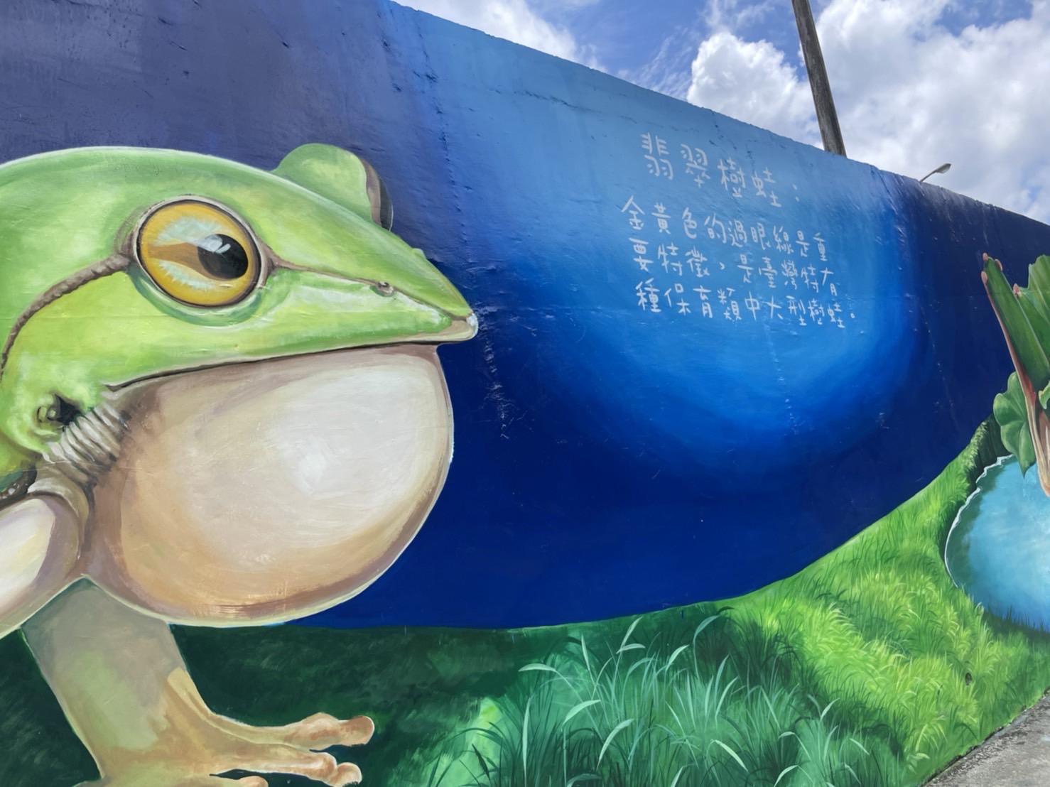 坪林水資源再生暨環境教育中心旁觀魚自行車道圍牆彩繪照
