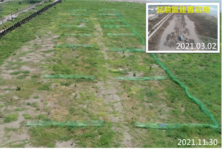 試驗區建置後半年空拍影像對照，現地植生綠覆