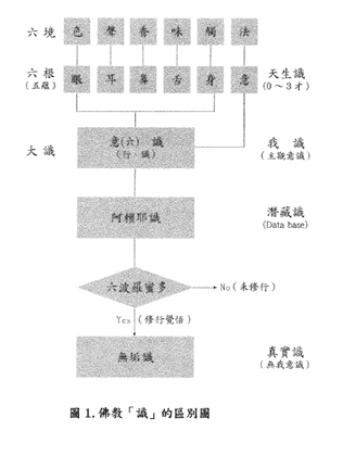 相關圖片