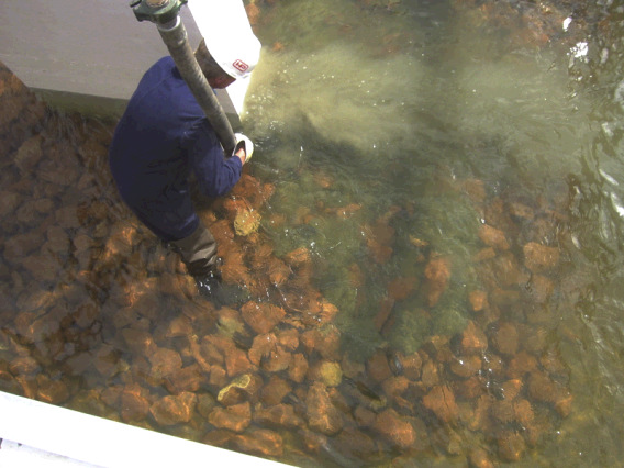 頭前溪中正大橋岩床河段河道之變遷趨勢與穩定策略