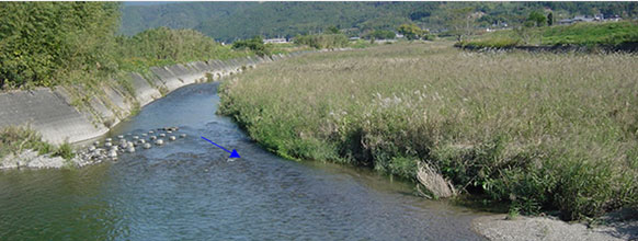 圖3 (1)2005年11月，施工前彎道内岸灘地肥大化，日本葦密生，阻礙通洪斷面。(2) 2007年2月，施工完成後。(3)施工六年後，河道內的潭、瀨、灘地恢復較健康的狀態。