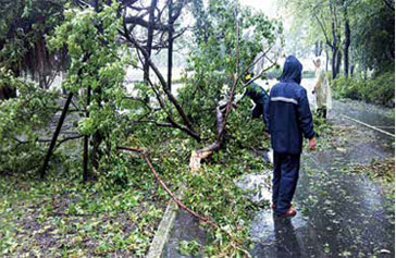 蘇力颱風水庫園區道路緊急搶通情形