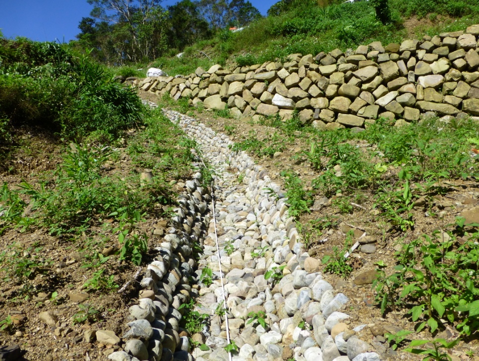 坡度較陡山溝施工後情形