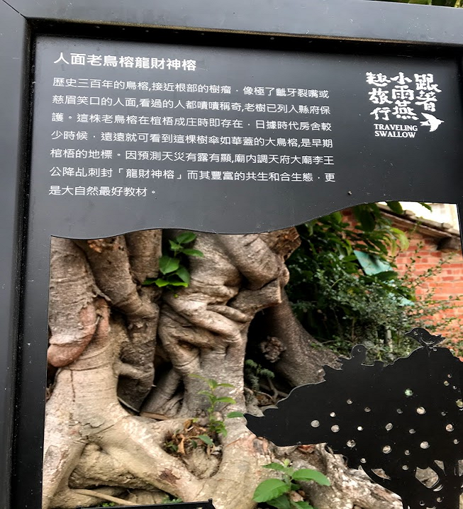 三百歲的百年人面雀榕樹