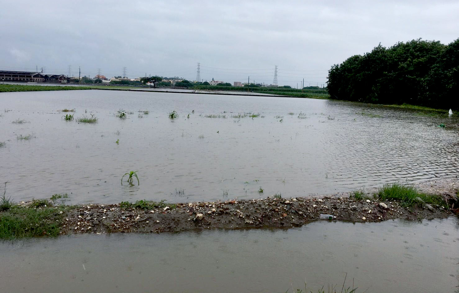 在地滯洪利用農田滯留洪水，降低渠道洪峰流量