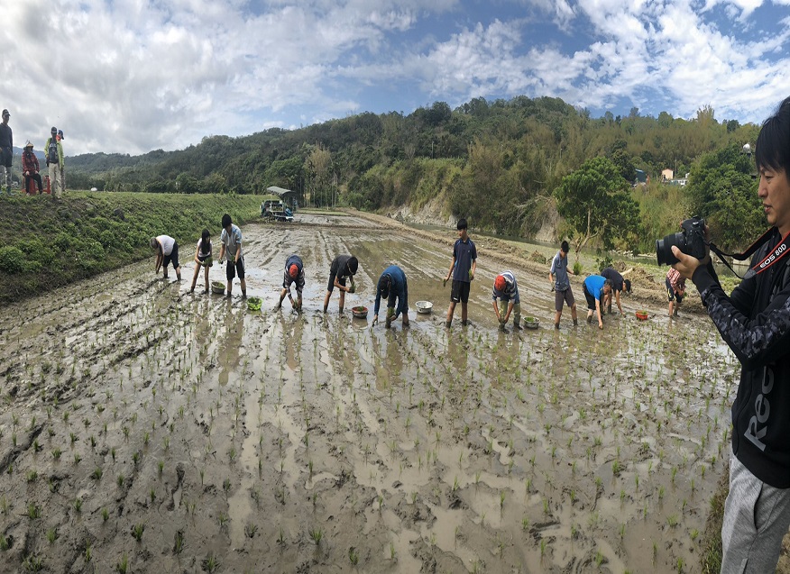 富里國中學生體驗插秧種稻