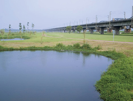 Constructed wetlands along Gaoping River