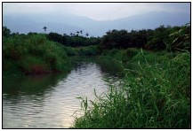 River bank restoration of the Yilan river_Icon