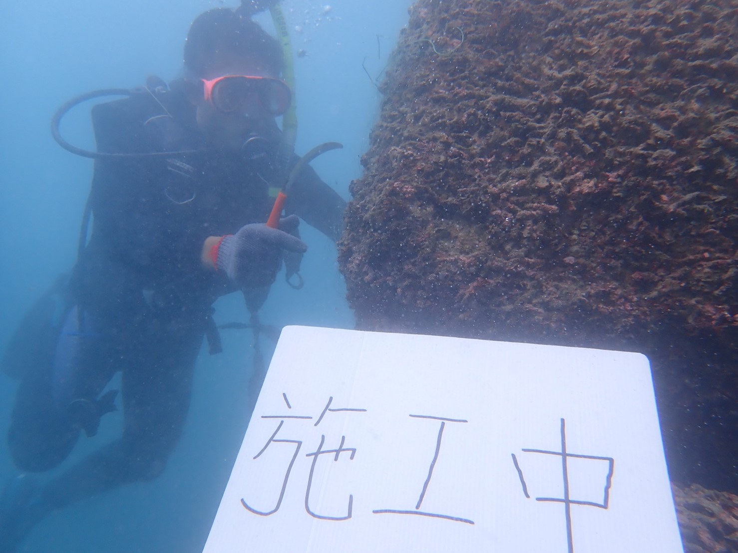 調查已成為人工魚礁的南濱潛堤混凝土塊_圖示